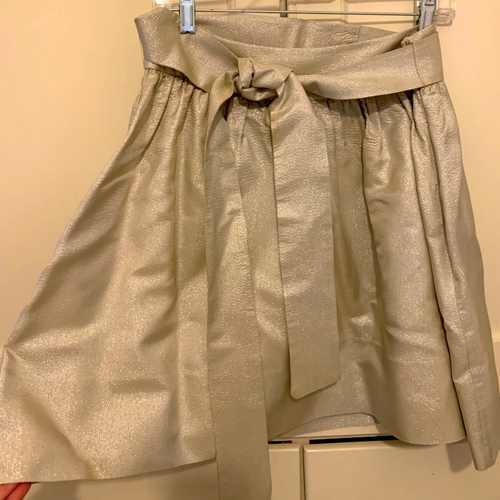 Silver, metallic party skirt